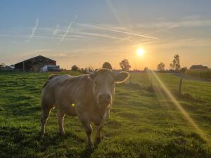 Q-time Barvaux, Durbuy-Adults Only