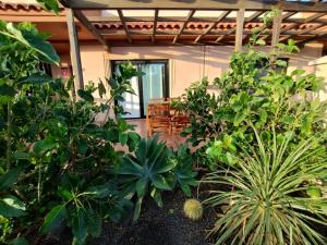 Marine Melody House - Perfect for relaxing getaway
