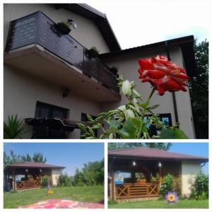 PIATRA ROSIE Pensiune Agroturistică