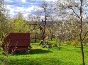 Friendship Cabin (Friendship Land)