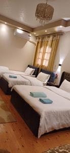 ƴoya pyramids Kingdom inn