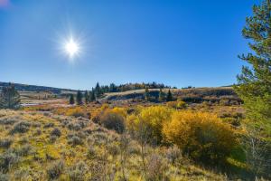 Cozy Alma Mountain Retreat Fireplace and Grill