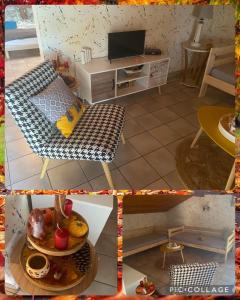 Stemicar dans les Landes
