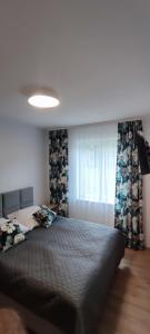 Zakręt Solina BALIA SPA RELAKS 537-791-246