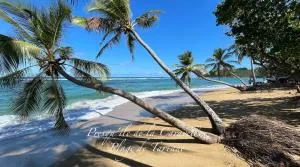 Les bungalows de la plage - 拉特里尼泰