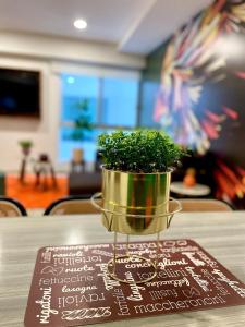 3 Recámaras con alberca y Gym en "Uno Urban Life"