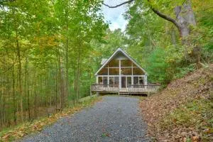 Serene Fancy Gap Cabin Retreat in Private Setting! - 希尔斯维尔