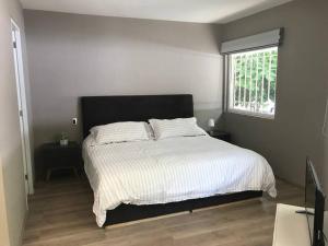 Loft Trendy en PB - WTC - Parque Delta - Facturamos