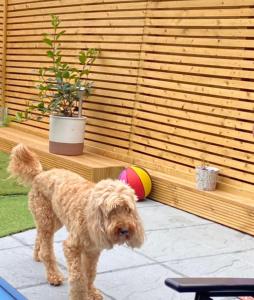 Spacious Chessington home with parking & garden