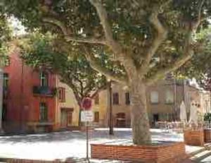 Appartements Torreilles-Casa terracota-proche plage - les deferlantes le Barcares - South of France : photos des chambres