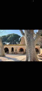 Appartements Torreilles-Casa terracota-proche plage - les deferlantes le Barcares - South of France : photos des chambres