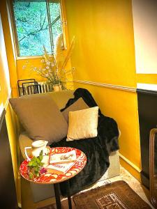 B&B / Chambres d'hotes Le Chambon, Chambres d'hotes : photos des chambres