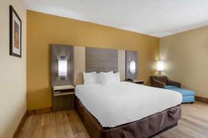 King Room - Non-Smoking room in Best Western Plus Springfield Airport Inn