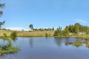 Noble Willow Studio Lovedale. A Cosy Unique Wine Country Refuge - Luskintyre