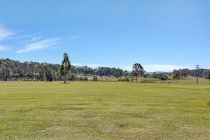 Noble Willow Studio Lovedale. A Cosy Unique Wine Country Refuge