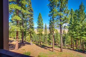 View Condo at Northstar