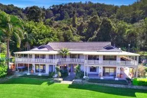 The Golden Whistler Montville - Eudlo