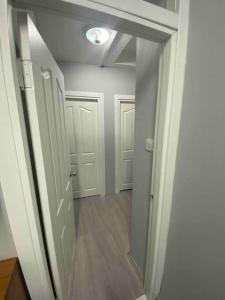 Kadıköy Miski Amber