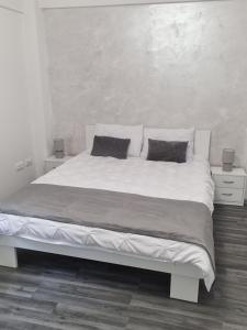 ARKADIA 2 BR APARTMENTs