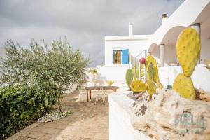 Villetta Pisa 1 by Puglia On line