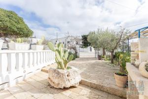 Villetta Pisa 1 by Puglia On line