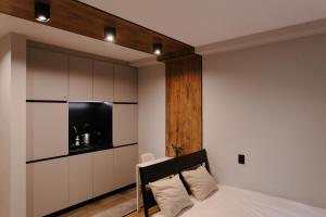 Vinyl Studio Apartment Sofia