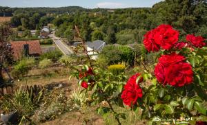 Au balcon de la Gaume