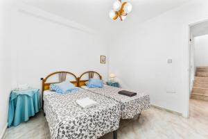 The lemon tree house