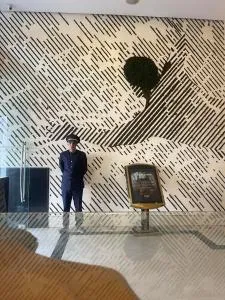 WINDSOR HOTEL CITY CENTER - 卡萨布兰卡