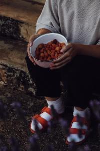 Ecological farm Makrobios Panonija