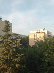 Affitta camere Via Piave