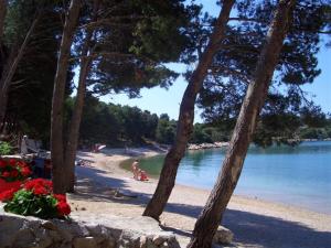 Apartments by the sea Drage, Biograd - 851