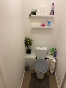 Appartements Le petit paradis de Lille : photos des chambres