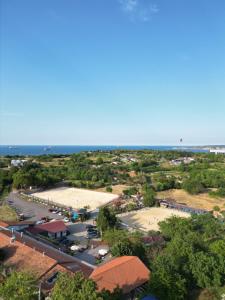 MAVİ AT HOTEL Blue Horse