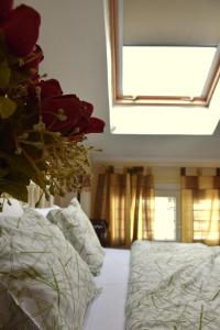Elisavet apartment