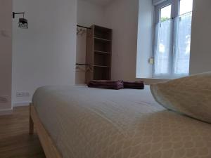 Appartements Coeur de ville, spacieux appartement rez de jardin : photos des chambres
