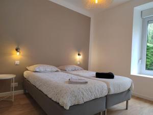 Cœur de ville, spacieux appartement rez de jardin