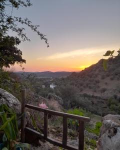 Olive -Casa da Boavista