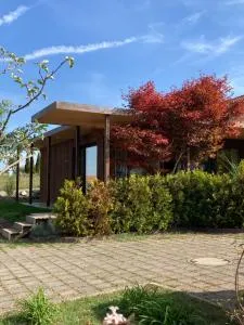 Ahornlounge Faoug am Murtensee - Cournillens