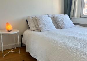 Modern and light apartment in Amsterdam-West