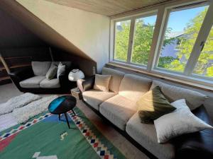 Peaceful retreat in an ecological city apartment