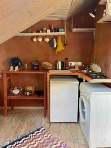 Peaceful retreat in an ecological city apartment