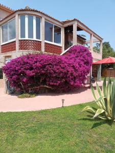 HAUT VILLA MESANGES EN BORD DE MER !