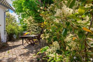 Appartements Grand & Classy Apartment with Private Garden, Villa des Ammonites : photos des chambres