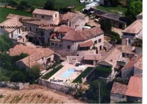 Micocoulier de la Maréchale - Issirac