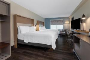 Holiday Inn - Tampa North by IHG