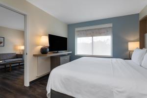 Holiday Inn - Tampa North by IHG