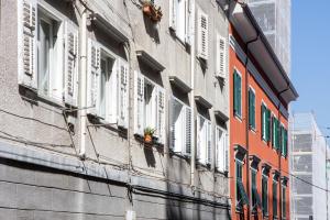 Appartement 1 Chambre