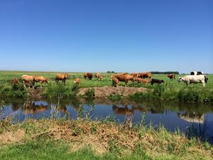 Iselmarpleats Comfortabele Studio met badkamer