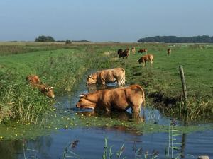 Iselmarpleats Comfortabele Studio met badkamer